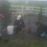 workers working in backyard